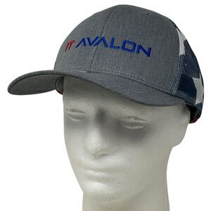 IT Avalon Trucker Hat Baseball Cap USA Flag Patriotic Technology Snapback Gray